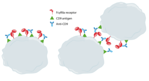 Platelet Activation